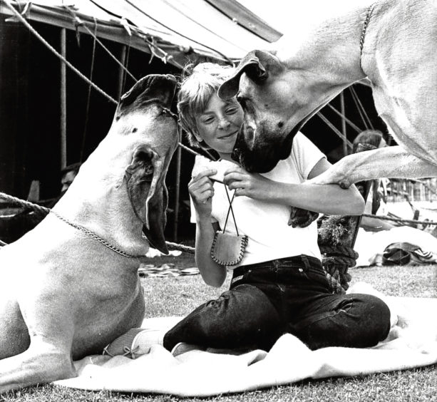1983: Michelle Armstrong, 11, with Great Danes Cherry and Astra at the open show at Hazlehead.