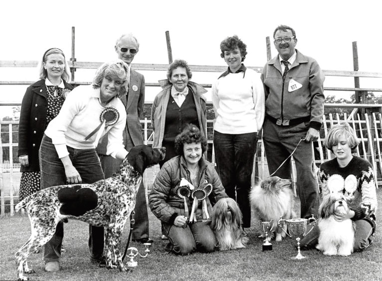1982: Best in show at Hazlehead was shown by Heather Michie, front left of North Deeside Road, Milltimber.