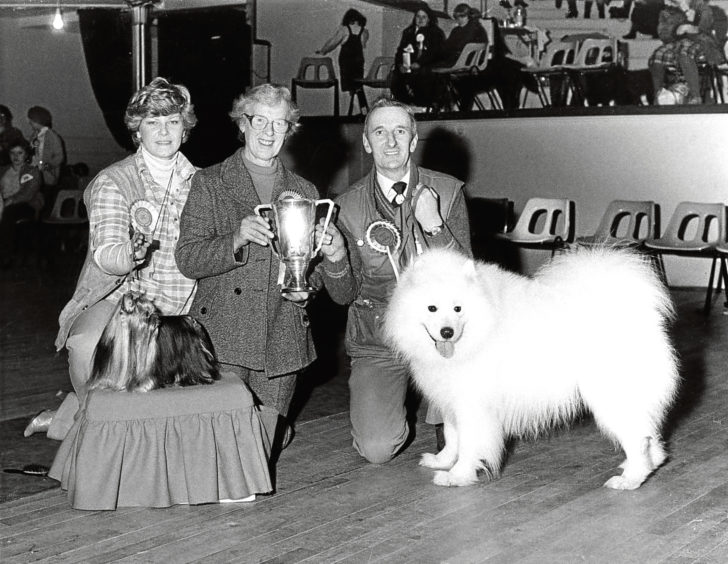1983: Samoyed Crensa Silver Dollar was judged best-in-show. Gourdon's Ian Mackie receives the top award at the Music Hall.