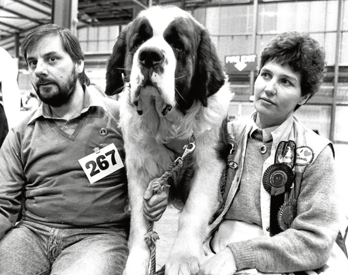 1988: Best of breed Wilson's Treeburn Country Magic with owners Ian and Anne Wilson, of Newburgh.