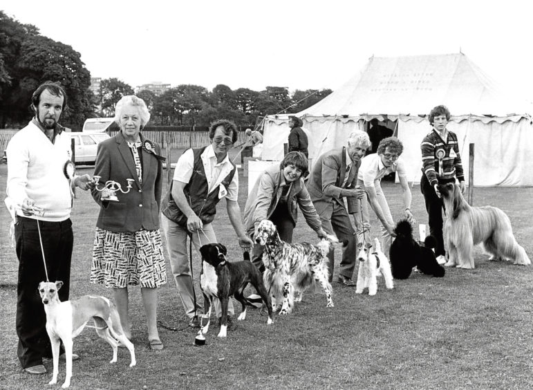 1983: Mr R Oliphant, of Fife, receives the Dales Trophy for his whippet from judge Mrs Ann Argyle.