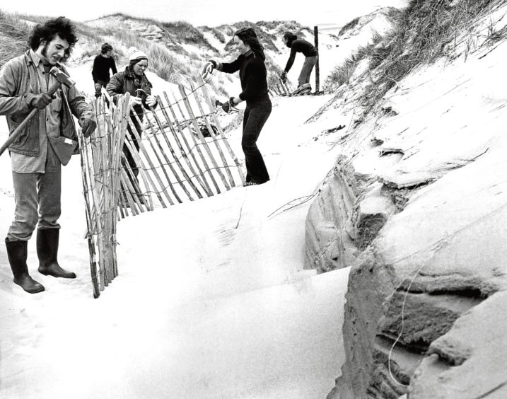 1974: Volunteers erect chestnut palings in a bid to stop wind erosion of the dunes at Balmedie Beach.