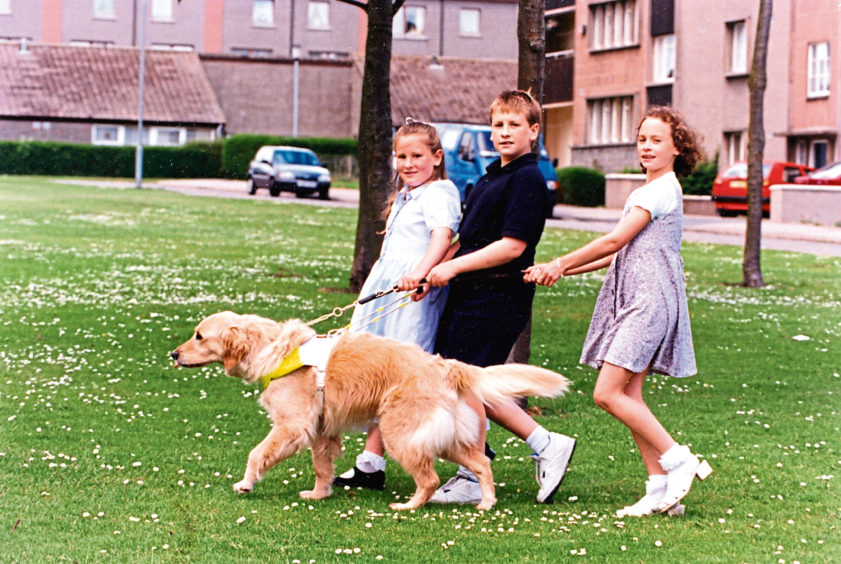 Guide dog Helga enjoys a walk with Sutherland children Sarah Rose, Jamie and Gemma