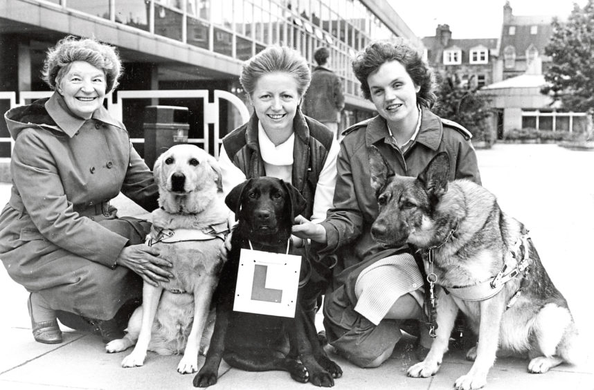 Learner Pearl in Aberdeen with Edith Watts, centre, and guide dogs Quella, right, with owner Elaine Stewart and Unity with owner Isabel Mundie