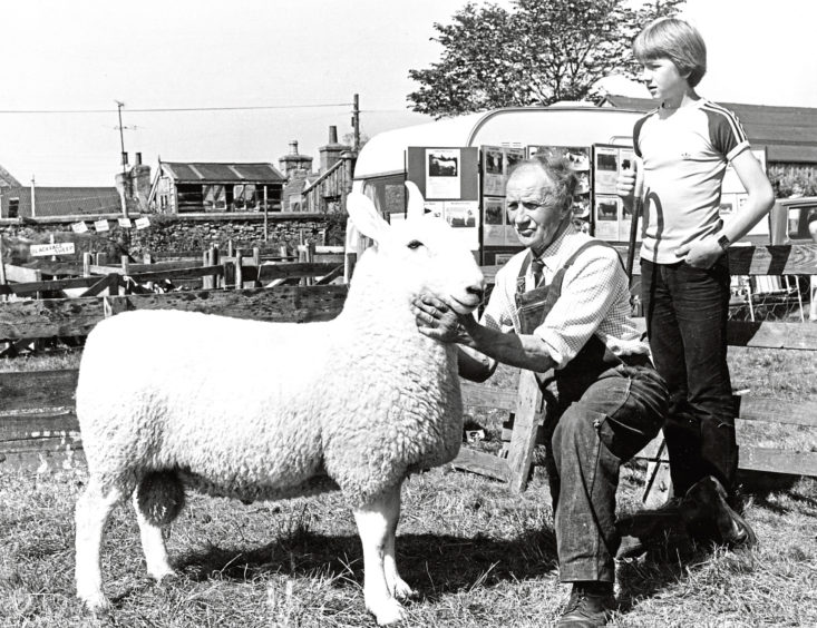 The Border Leicester champion, this home bred shearling from W. D. Webster and Son, Little Whitefield, Forglan, Banff. Mr William Webster is holding the winner.