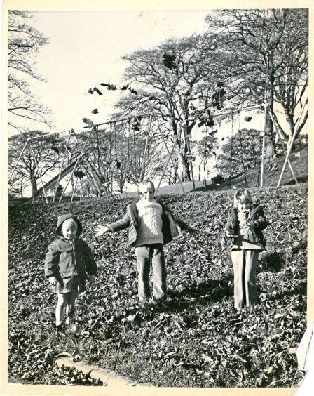 1970: From left, Peter, Susan and Julie Millar have a ball playing in the fallen leaves at Duthie Park in October 1970