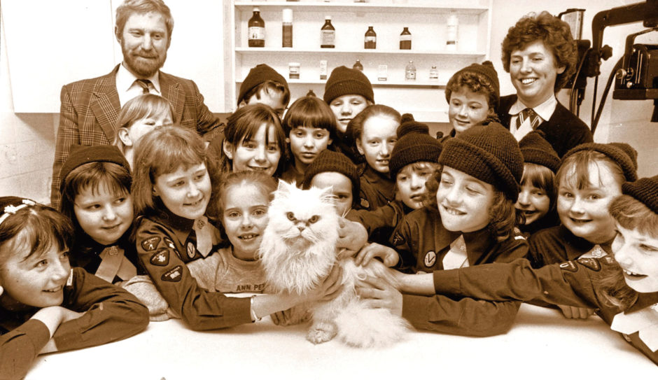 1988: Mizpah the cat was the centre of attention when the 22nd Pack Brownies visited the veterinary clinic at Rubislaw Park Road, Aberdeen
