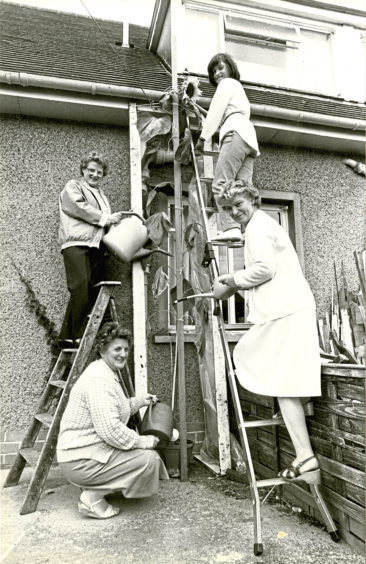 1986: Tending to Kendo the sunflower are Betty Christine, Lorna Simpson, Isobel Ames and Elaine Campbell, in whose garden Kendo was being cultivated