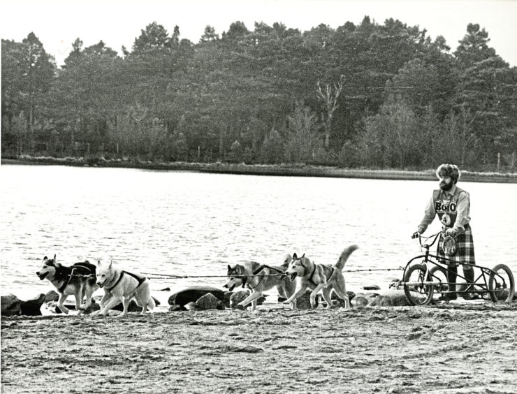 1989: Kilted John Evans, race organiser of the Siberian Husky club of Great Britain snow rally, exercises his dogs on the shores on Loch Morlich