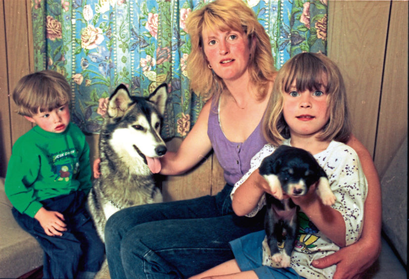 1995: Ten-day-old cross Collie Jenny was welcomed into the Rowles family by husky Nanook thanks to coverage by the Evening Express. The husky had refused to eat after her own one-day-old pup died