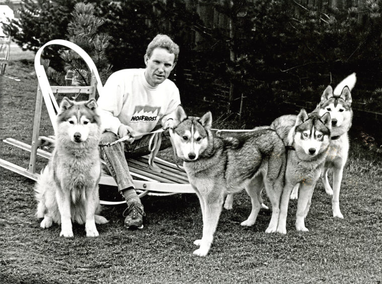 1989: Martin Bundy, relaxes with his Siberian husky dogs Zara, Mikki, Sasha and Lukeria after a practice run