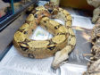 Snake Esmerelda, who was taken into the care of the Scottish SPCA afterwards, had to be destroyed