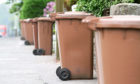 Aberdeen garden waste permit applications open