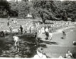 Westburn Park during the heatwave of 1959
