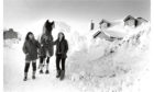 1984: A first in the snows of Chapel of Garioch for Sullivan with his owner, Loreen Macklin, Broc House (right) and groom Sammi Pettifer.