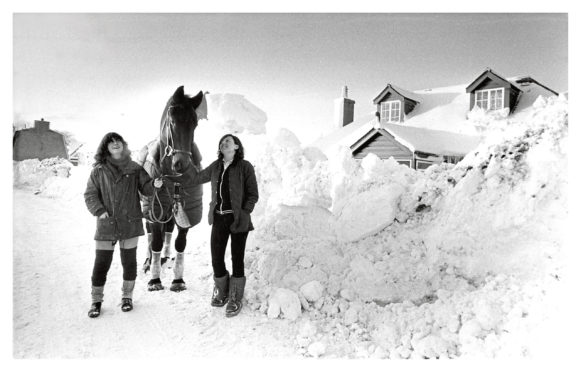 1984: A first in the snows of Chapel of Garioch for Sullivan with his owner, Loreen Macklin, Broc House (right) and groom Sammi Pettifer.