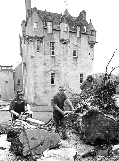 1978: A 200-year-old tree is cut down at Crathes Castle. The tree, near the car park, was in a dangerous condition but it is the trust's policy top plant two trees for every one taken down.
