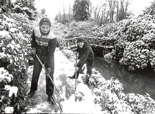 1988: Gardeners at Johnston Gardens clear the paths after yesterday's mornings snowfall. They are Campbell Kelso, (right), 29 Bank Street, Aberdeen, and Graham Rennie, Lonard Cottage, Drumoak.