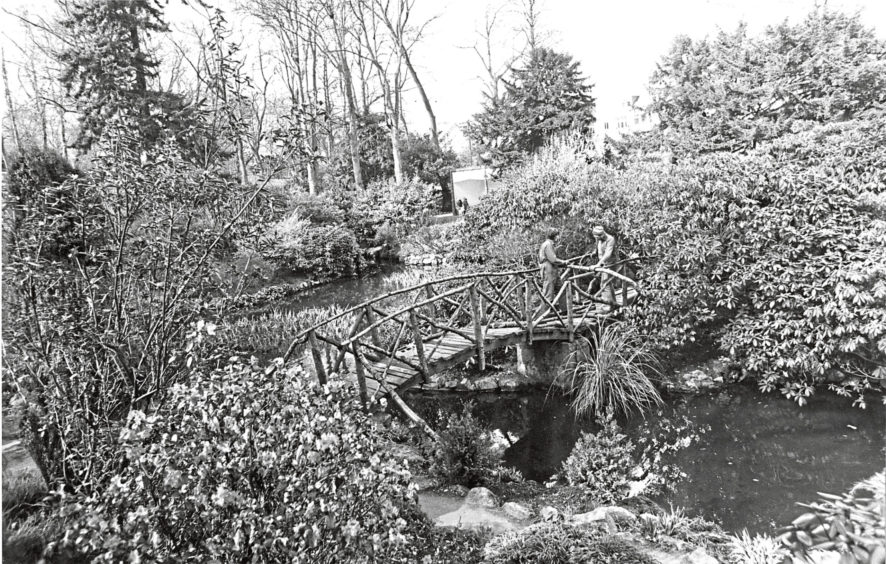 1976: Little but good  although it only extends to three acres Johnston Gardens is one of the loveliest parks in Aberdeen. Its streams, pools, rocks and waterfalls give it an all-the-year round charm, and there are large groups of primulas and herbaceous plants.