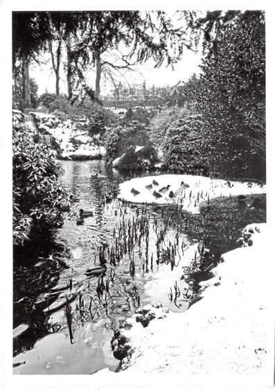 1984: The ponds at Johnston Gardens, Viewfield, Aberdeen.