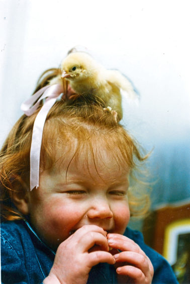 1993 - ‘A new-style Easter bonnet! Two-year-old Aleisha Connon of Netherley comes head to head with a one-day chick at the Coney Farm Hatchery, near Stonehaven.’