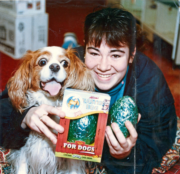 1993 - An Easter treat of a special doggie chocolate egg for Mitzi, the King Charles spaniel, from her owner, Inverness teenager Lynne Cameron, Planefield Road.