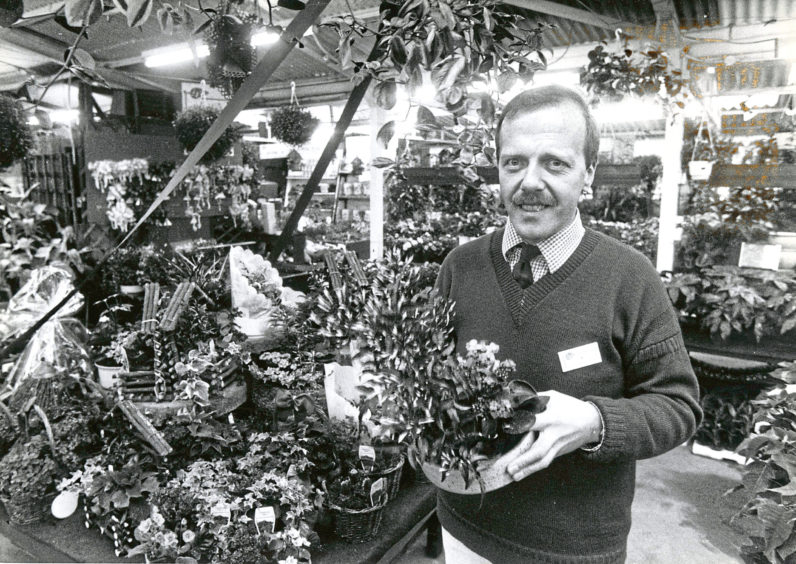 1990: Jimmy McRae has a variety of houseplants for sale.