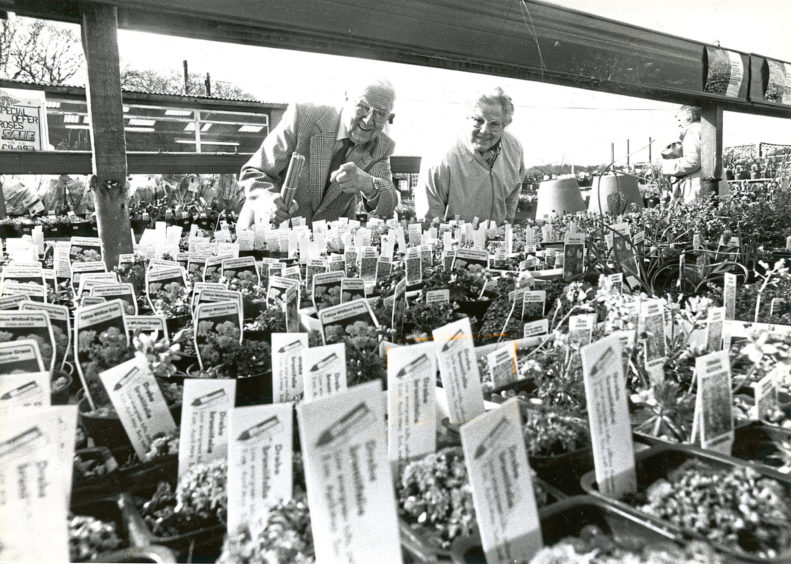 1988: Mr and Mrs George and Gladys Leiper, Aberdeen, choose from the selection of plants on offer at Findlay Clark.