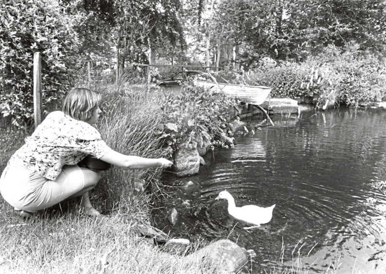 1989: Secretary Alice Combe at the ornamental pond where feeding the ducks has become a major attraction.