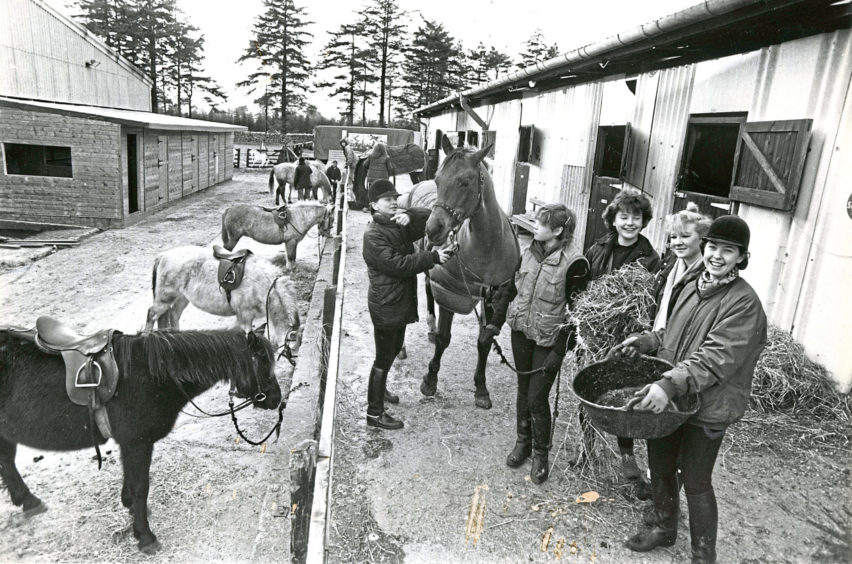 1987: With winter's cold starting to bite and less outdoor exercising for the horses at the Hayfield Riding School at Hazlehead, Aberdeen, attention is paid even more to the warmth and feeding of the mounts. These young girls have their work cut out for them and spend most of their holiday time with their favourites. Gelding Dollar is the horse being fussed over by Tracey Farquhar and companions Lucia McOmish, Jan Williams, Shea Buchanan and Helen Stuart.