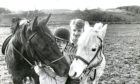 1988: Willie (left) and Lucky Lucy talk over their chances in tomorrow's competition being run by Aberdeen's Hayfield Riding School after being put through their paces yesterday by 15 year old Billy Grant (left), Bucksburn and their owner Kevin McDonald (15), Bucksburn, both Aberdeen.