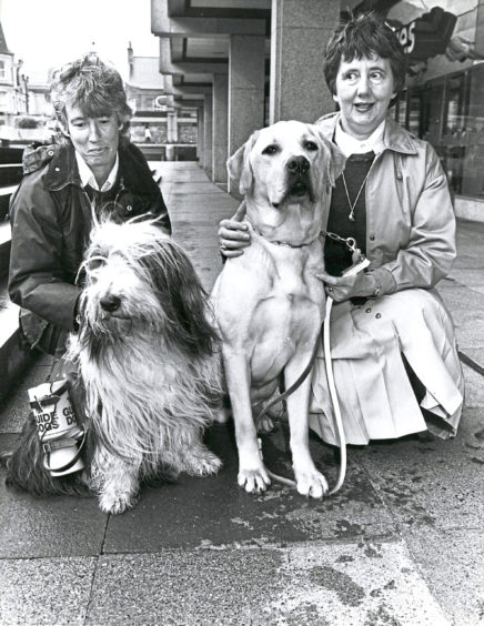 1990: Bearded Collie Scotia takes a break from helping his mistress, Mrs Ailsa Gill (left), to collect money for the Guide Dogs for the Blind Association in the St Nicholas Centre, to meet guide dog Nicholas and Mrs Ann Scrogie, appeals manager at Princess Alexandra House, Forfar. The £3,000 raised during last year's appeal paid for Nicholas to be trained. Fellow guide dogs will be collecting in the centre until Saturday. Money raised will go to Princess Alexandra House and the recently opening mini centre in Lanarkshire.