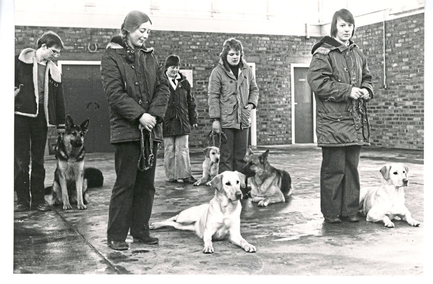 1980: Dog handlers (below) give obedience training to the dogs at the Guide Dog Training Centre, Forfar.