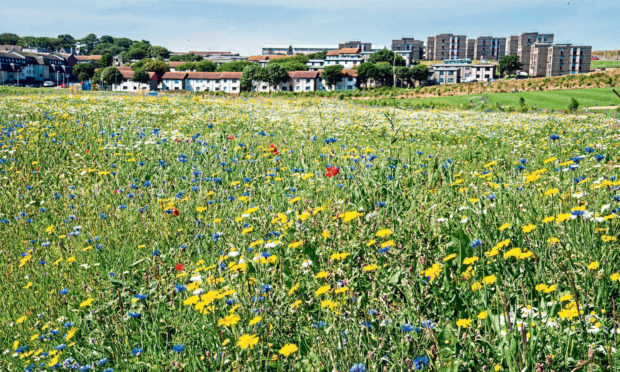 St Fitticks Park, Aberdeen