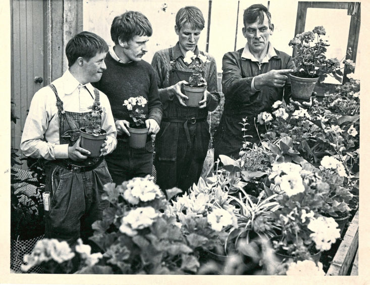 1975 - Some of the residents of Easter Anguston Farm planting  flowers to create a colourful display