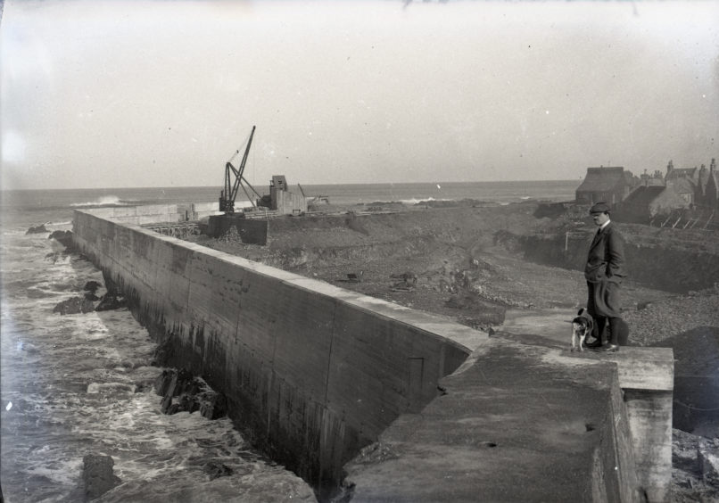 Man and dog stood on Peterhead harbour wall during excavation
