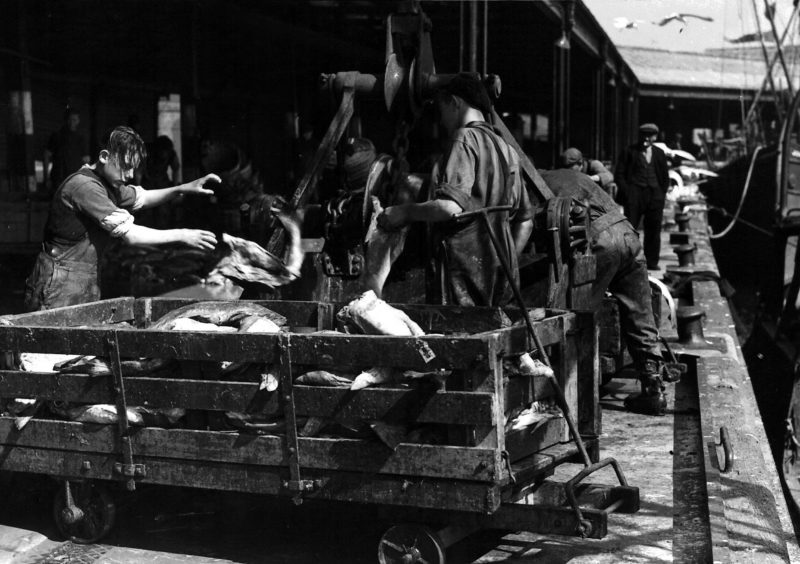 Boy working in the fish market, May 1945
