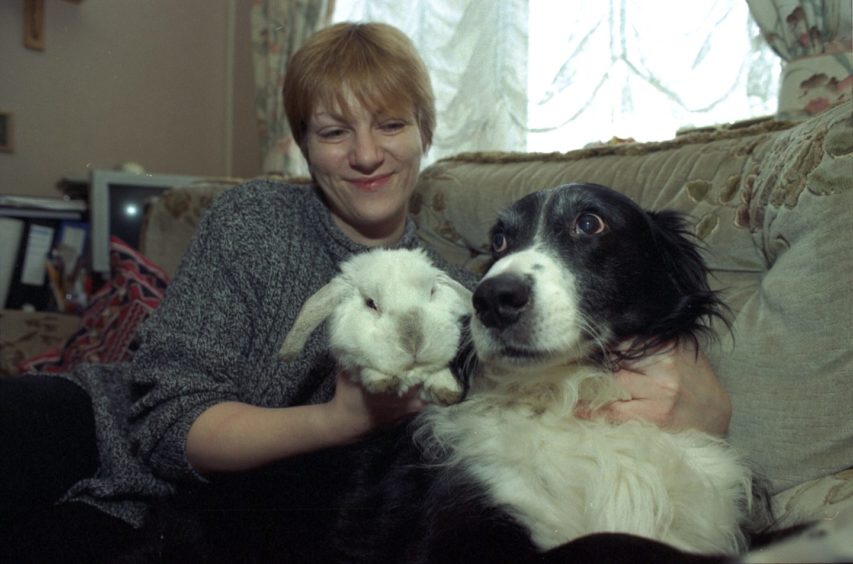 1998 - Diane Melville with her rabbit Holly and dog Rocky.