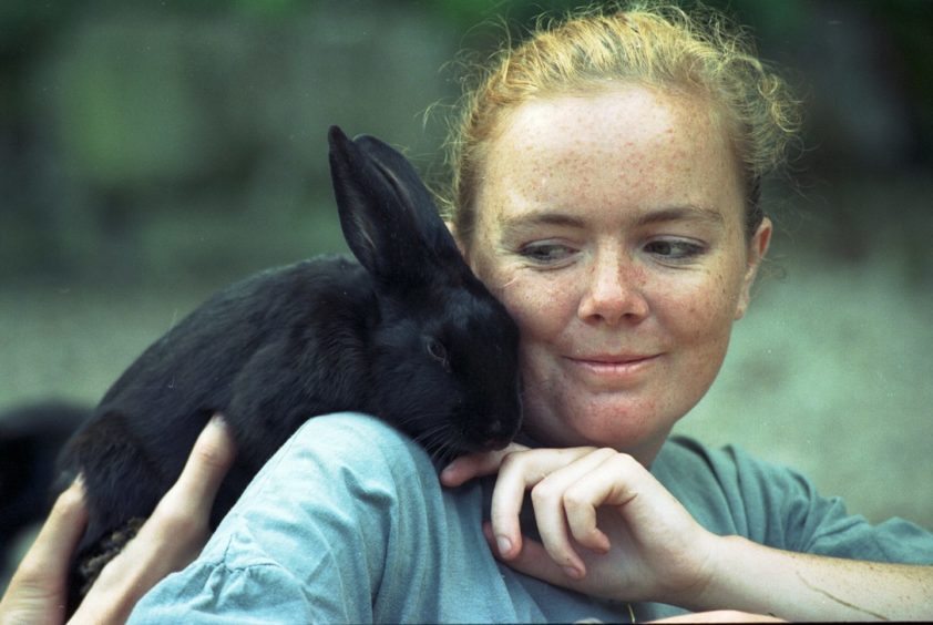1999 - Suzanne Mennie of Furry Ever Friends with Jack the Swiss Fox Rabbit.