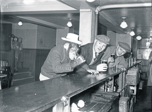 Monkeying about in the Tivoli Bar - a chimp drinks a beer with a couple of friendly locals