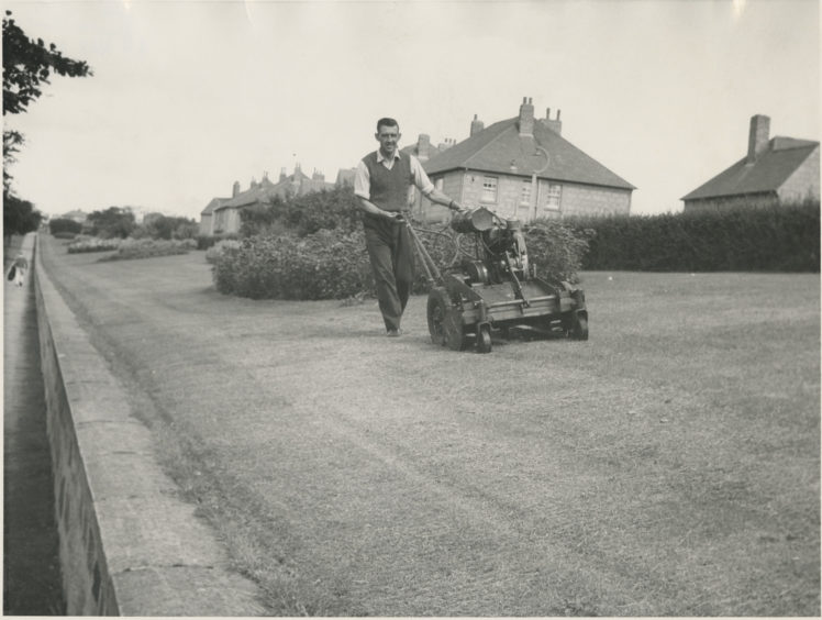 At the south end of Aberdeen, Alex Stewart of the Links and Parks Department gets behind a man-sized mower in August 1961 to give the grass on South Anderson Drive a smooth finish.  4 August 1961.