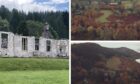 A six-acre wildflower meadow will be created on the grounds of Boleskine House