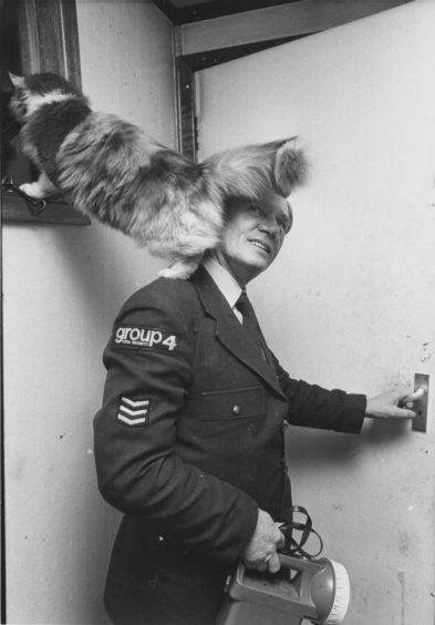 1980: Security guards at an oil pipeyard on the outskirts of Aberdeen have a four-legged friend who goes on patrol with them.
