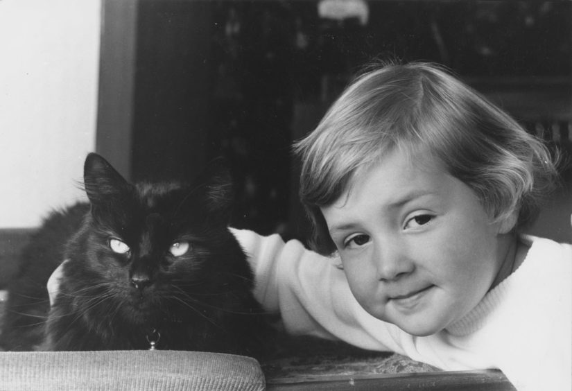 1988: The appearance of a long-haired black tomcat on an Aberdeen doorstep has set Mrs Phyllis Caithness a problem , how did the cuddly animal manage to get there from its home near London?