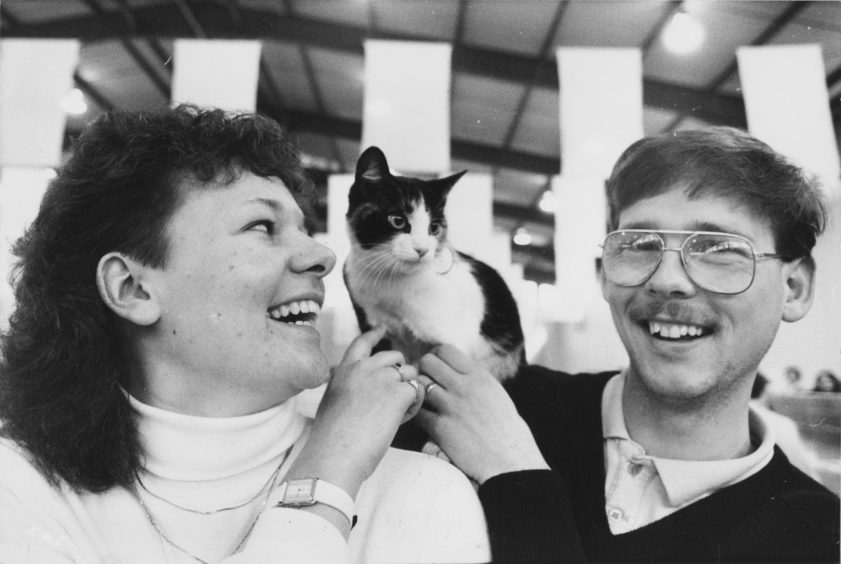 1988: Newly-weds Gordon and Laura Duguid entered Fergie, a seven-month-old tortoiseshell for the show.