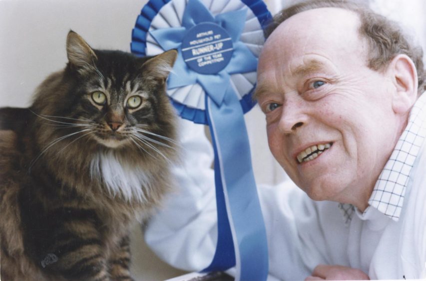 1993: A stray moggie found on an Aberdeen doorstep has come within a whisker of becoming a national champ.
Three-year-old Leonardo took the runner-up spot in the Scottish finals of the Spillar's Arthur Household Pet of the Year Show.