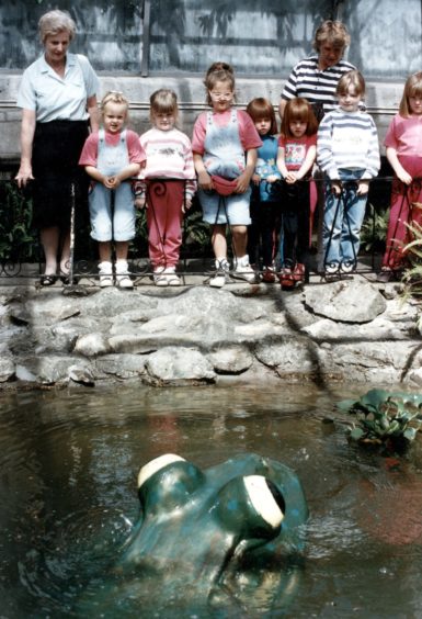 McPuddock, the amphibian formerly known as Mr Puddock, has long been popular with visitors to the Winter Gardens. Children paid him a visit in 1992, three years after he was gifted to the gardens by the North-east of Scotland Federation of Townswomen's Guild.