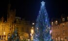 Aberdeen's Christmas tree in 2020. Image: Paul Glendell / DC Thomson