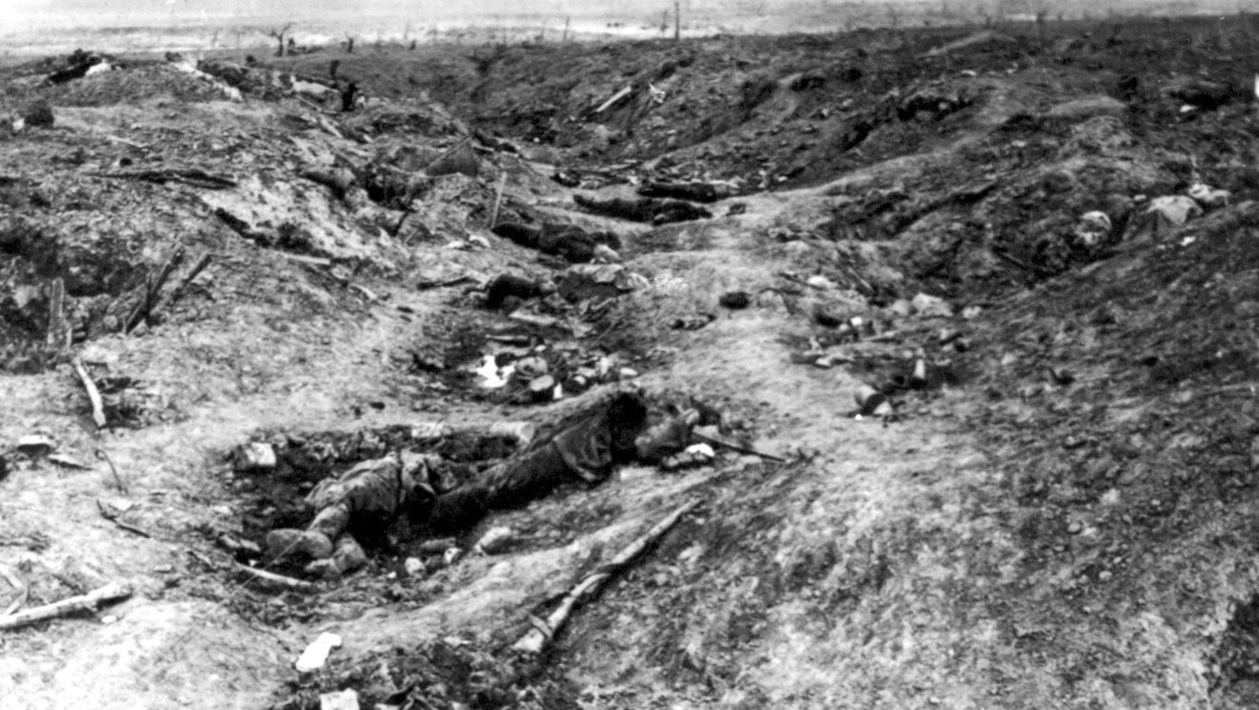 The Battle of the Somme raged for months and was a defining point in the four-year conflict,  where hundreds of thousands of lives were lost.