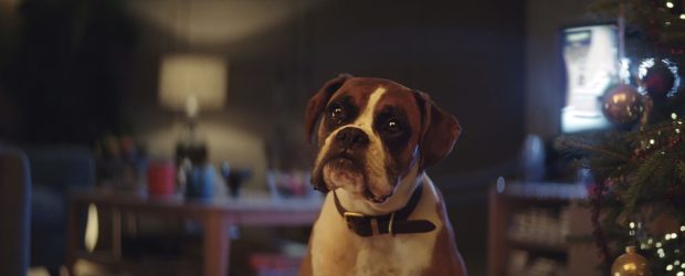 This year’s Christmas ad from John Lewis is a departure from the emotion-laden ones of previous years featuring Buster the boxer larking about on a new trampoline.